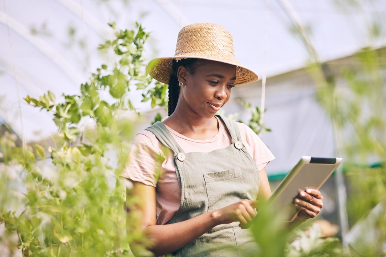 Gardening, research on tablet and black woman on farm 